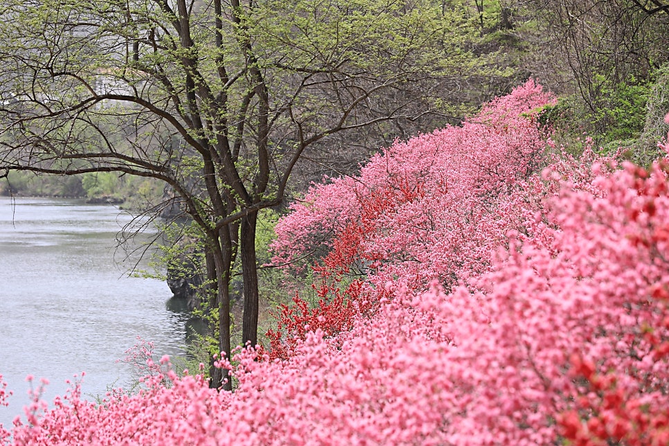 목사골 사진 1