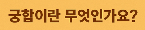  ️2025년, 나와 잘 맞는 인연은 누구? 띠별 궁합 총정리