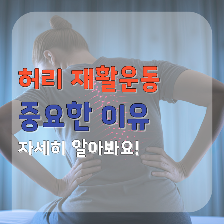  춘천 허리 재활 어떤 이유라도 운동이 중요