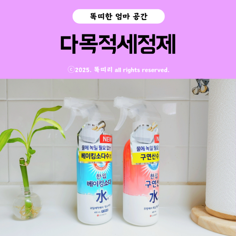 다목적세정제 한입구연산수 한입베이킹소다수로 주방청소 과일세척까지