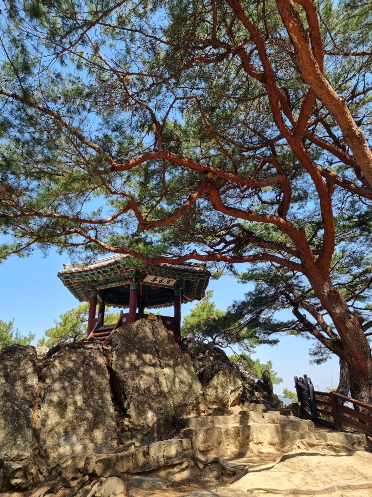  부여 가볼만한 곳 1박 코스 | 부소산성, 국립부여박물관, 정림사지