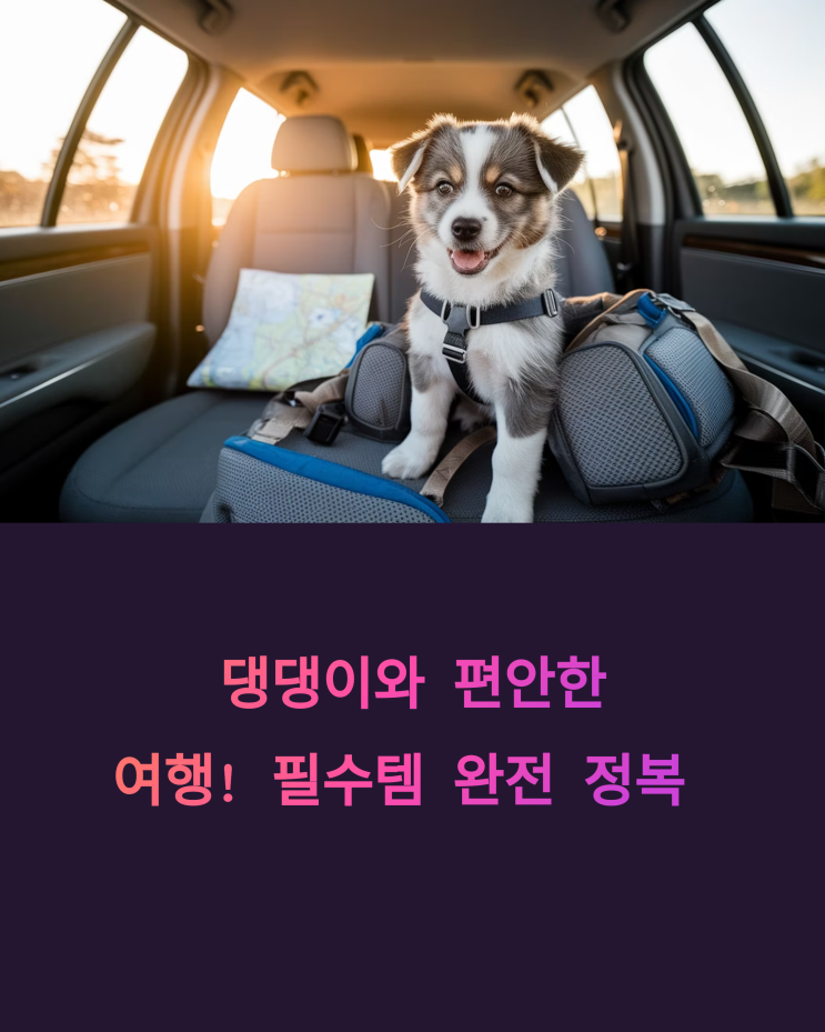  강아지 여행, 댕댕이도 맘 편히 떠나자! 필수 템 완전 정복 (펫 드라이브 가이드)