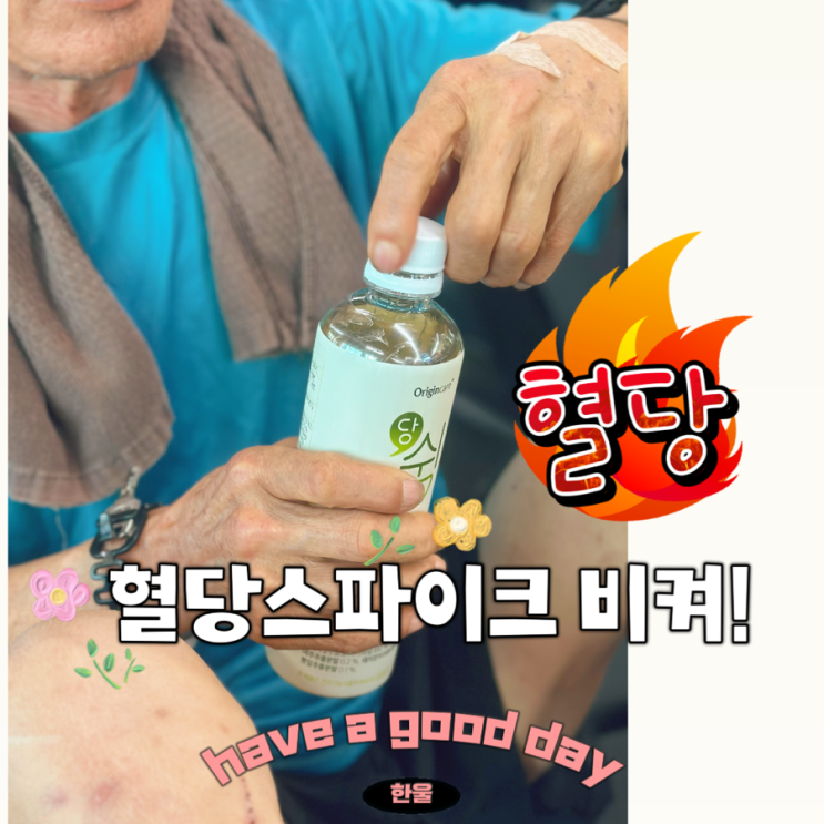  혈당스파이크 비켜! 혈당관리 돼지감자차 오리진케어 당쉼