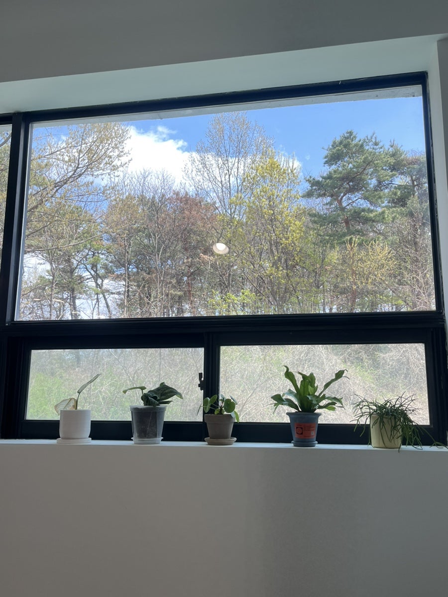 모어드 사진 6