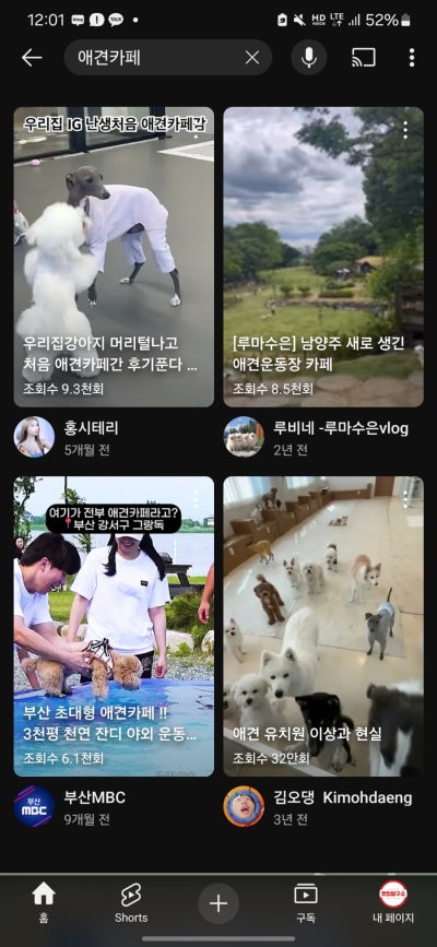 사진 5