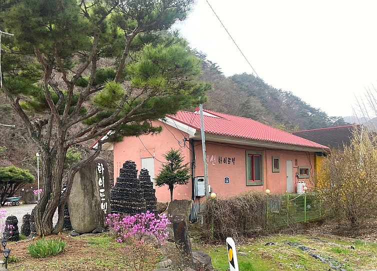 화이트빌펜션 사진 2