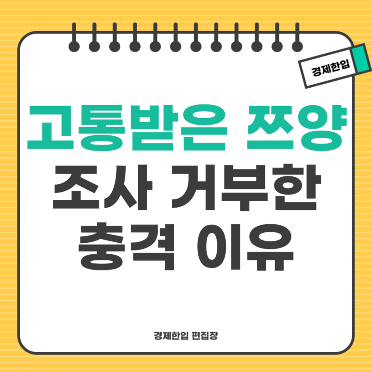 <b>쯔양</b> 말도 안돼 김세의 불송치 반박하며 <b>경찰 조사</b> 거부