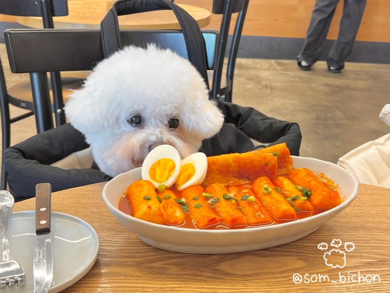 사진 4