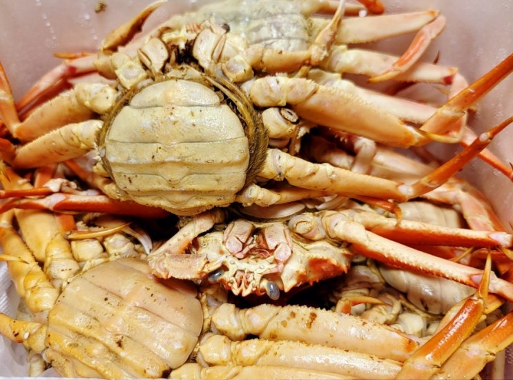  [기장]알이 가득찬 북해도산 빵게를 착한 가격에 맛볼 수 있는 기장빵게 '평산수산'