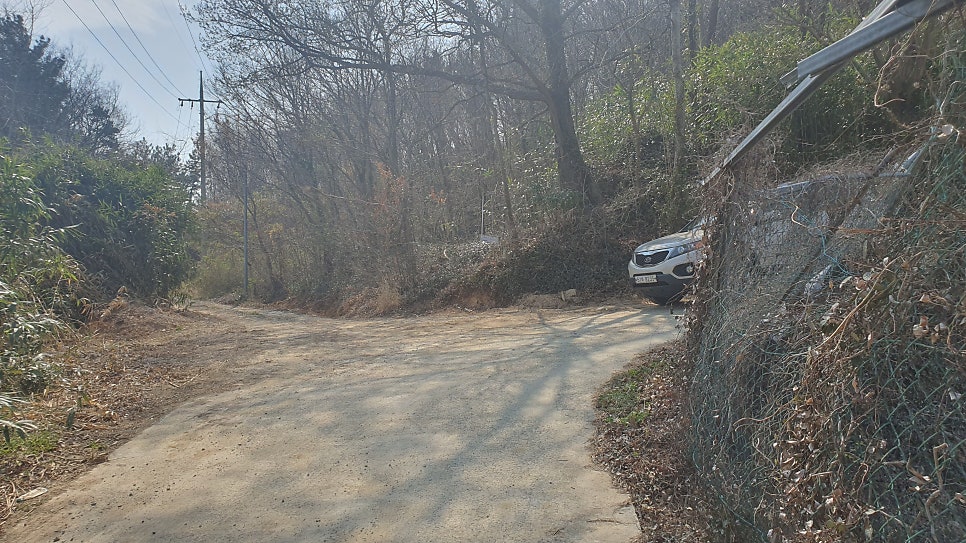 비파산 사진 4