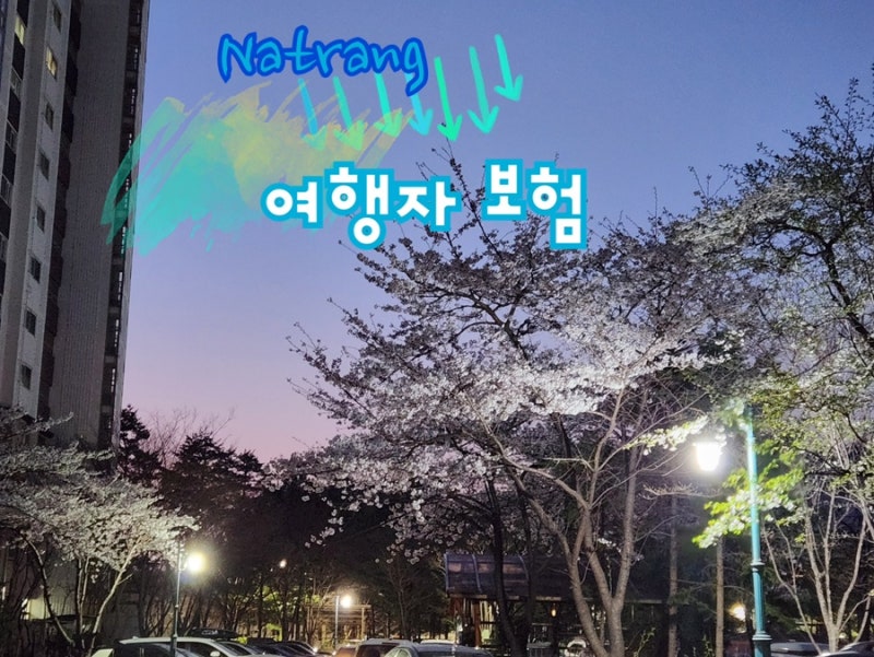 나트랑 여행준비 :: 여행자보험 * 토글여행자보험 간편가입