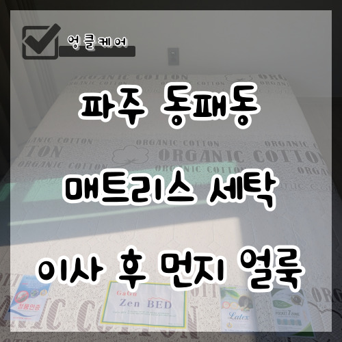  매트릭스 세탁 이사 후 먼지 제거 생활 얼룩 파주 동패동