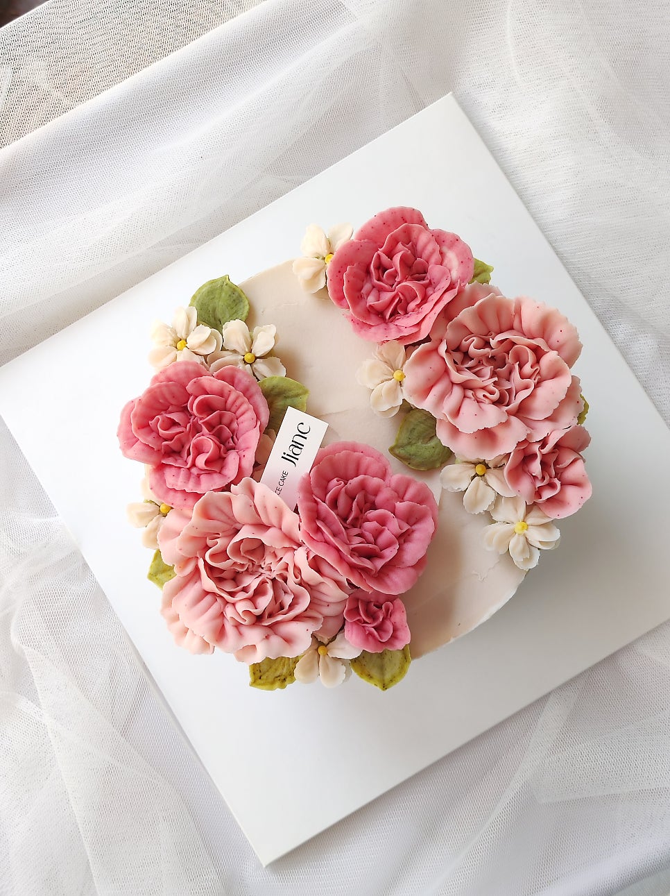 지앙크 사진 2