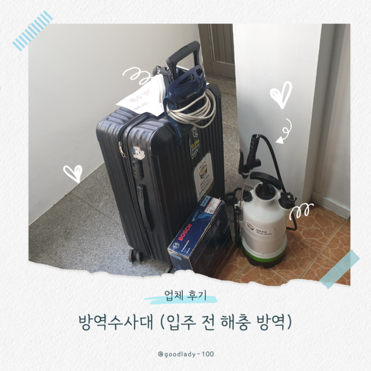  동대문구 방역업체 추천 입주 전 직접 비교하고 맡긴 후기