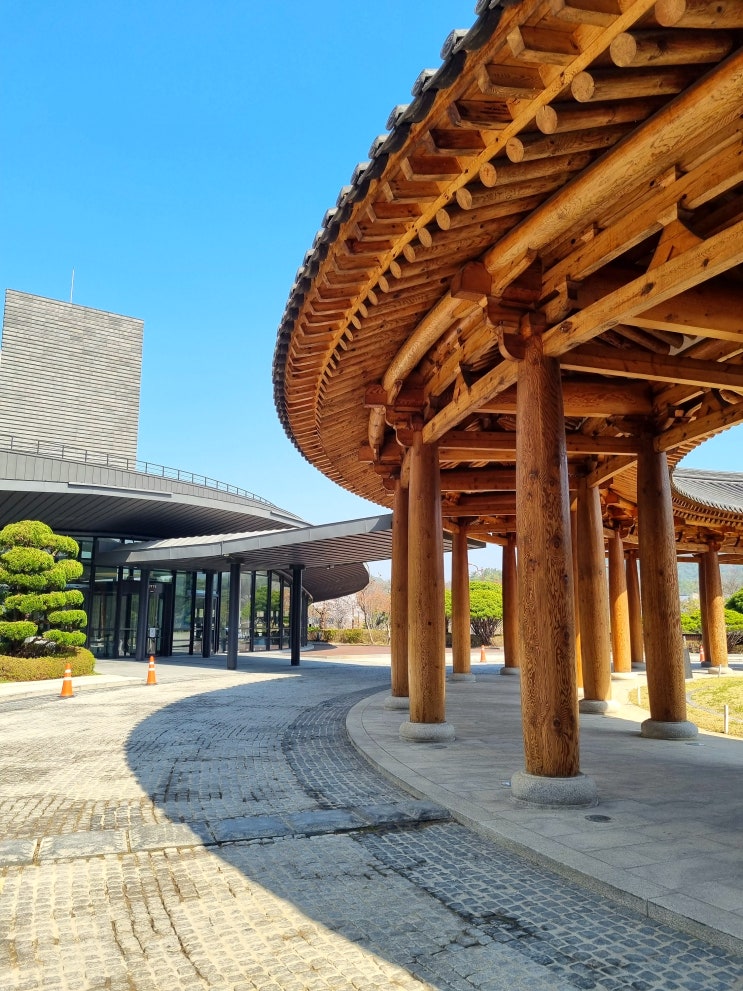  부여 호텔 숙소 추천 | 국가유산수리기능자 수험생 할인, 롯데리조트 부여 후기