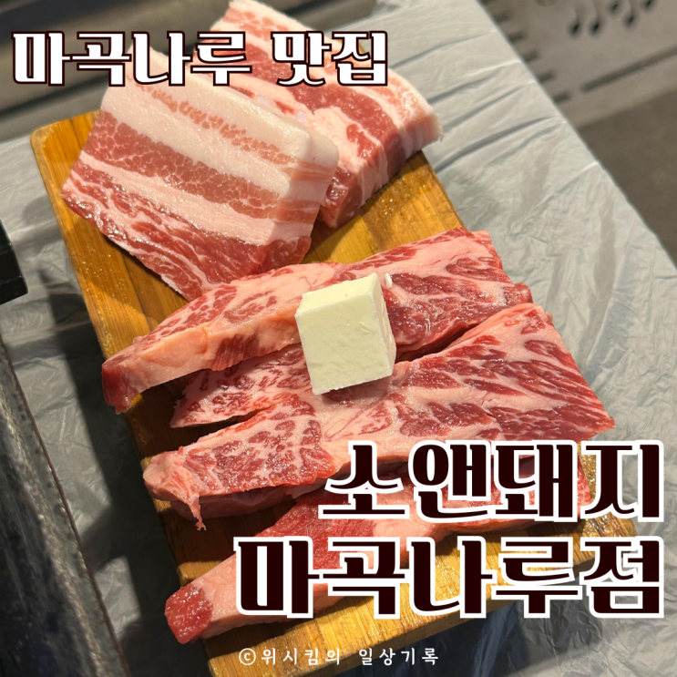  마곡나루 맛집 야장 애견동반 소앤돼지 다녀왔어요
