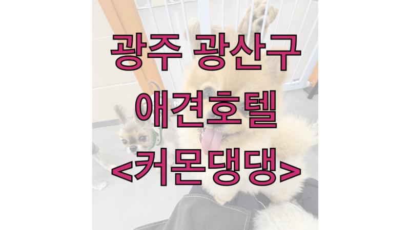 사진 10