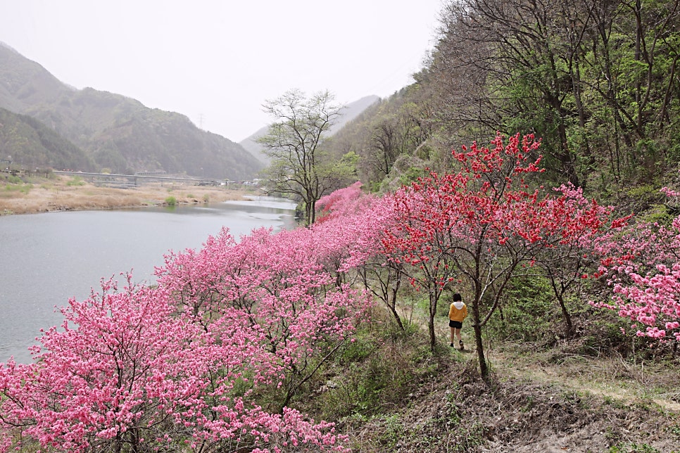 목사골 사진 4