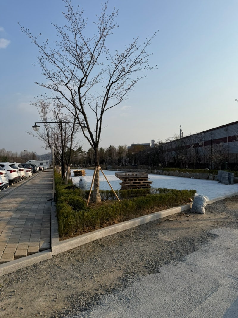사진 8