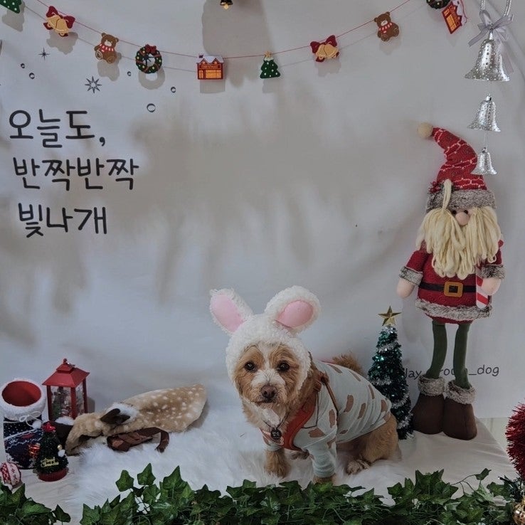 사진 8
