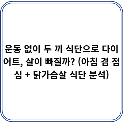 운동 없이 두 끼 식단으로 다이어트, 살이 빠질까? (아침 겸 점심 + 닭가슴살 식단 분석) 운동 없이 두 끼 식단으로 다이어트, 살이 빠질까? (아침 겸 점심 + 닭가슴살 식단 분석)