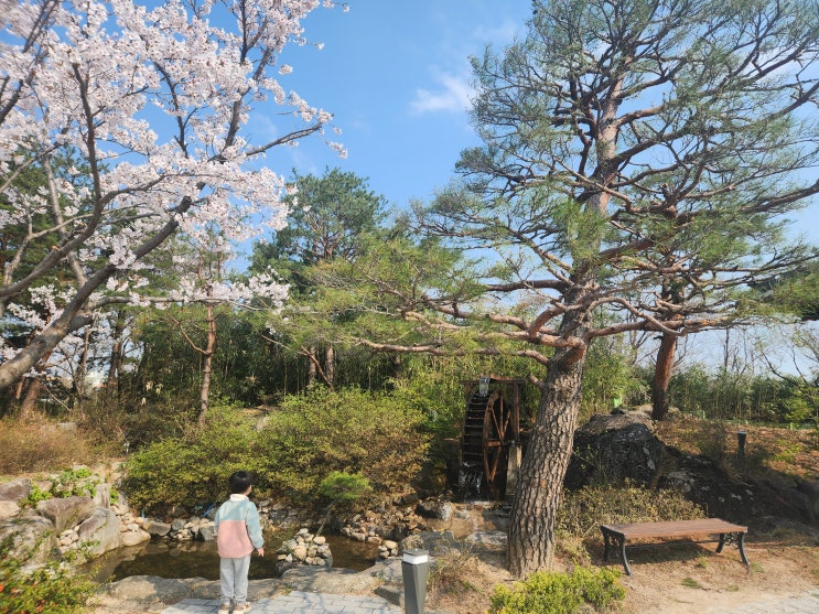  속초시립박물관 | 속초여행 아이와 가볼 만한 곳