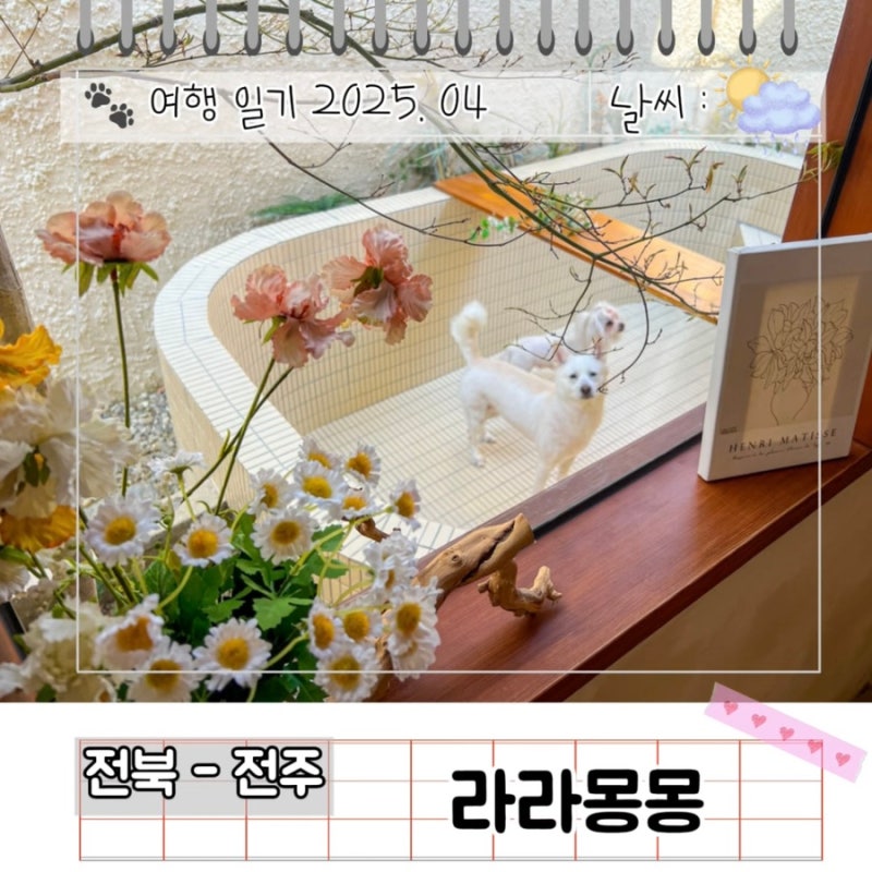사진 6