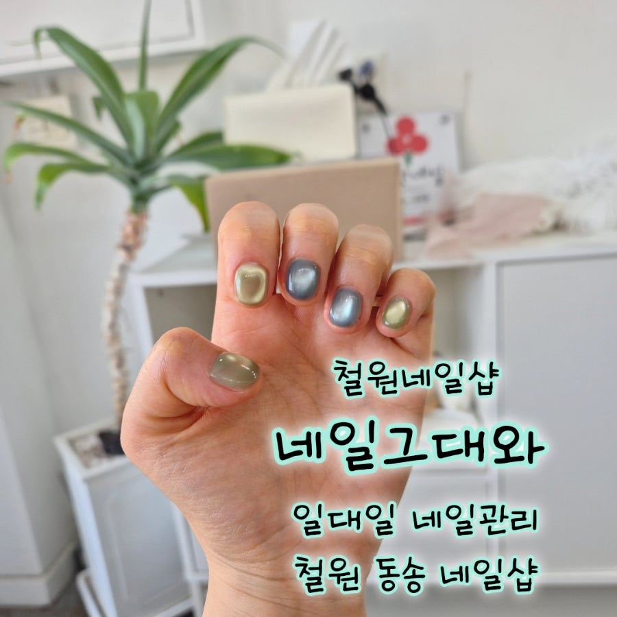 네일그대와 사진 1