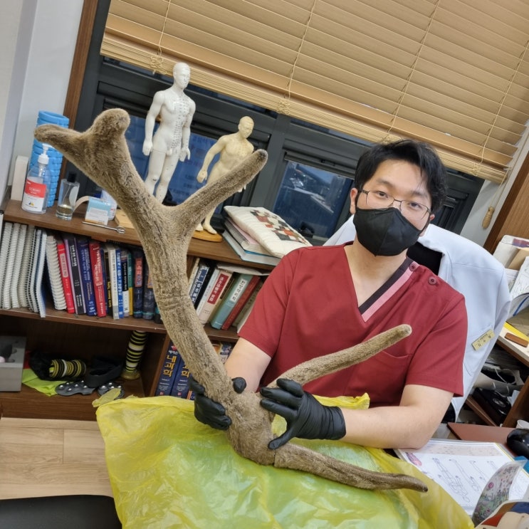 영유아도 녹용 한약을 먹을수 있나요? 몇살부터 가능한가요? 가격은 성인보다 저렴한가요? 영유아도 녹용 한약을 먹을수 있나요? 몇살부터 가능한가요? 가격은 성인보다 저렴한가요?