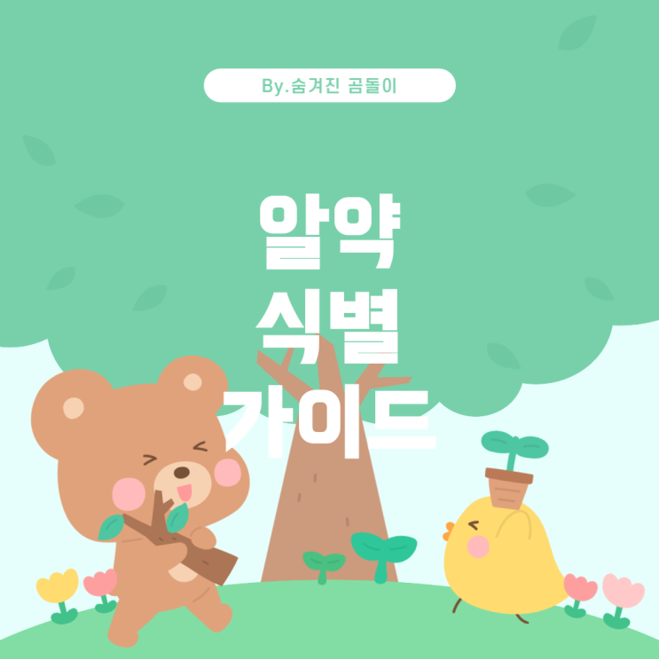  알약 식별을 위한 가이드