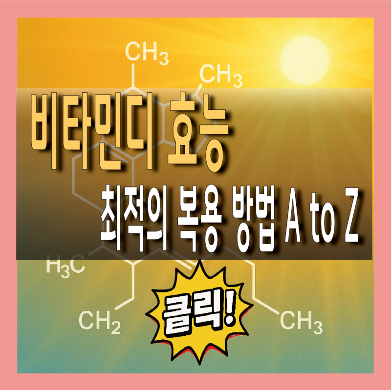 비타민디 효능, 권장량과 최적의 복용시간