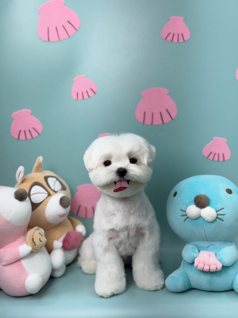 사진 6