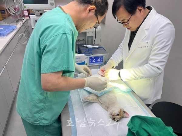  순천시 조곡동 반려동물 공공진료소, 전국 최초로 일요일 문 연다