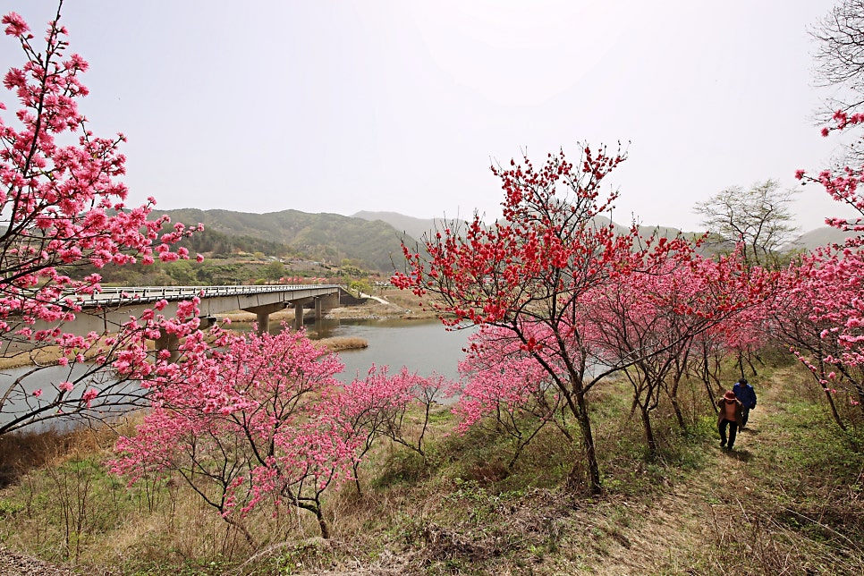 목사골 사진 2