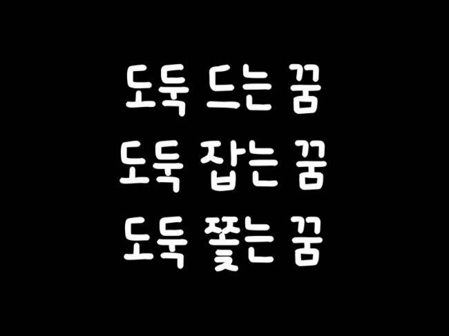  집에 도둑드는 꿈/도둑 잡는 꿈/도둑 들어오는 꿈/도둑꿈해몽