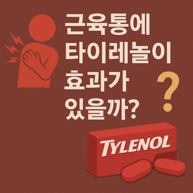  근육통에 타이레놀 먹어도 될까?