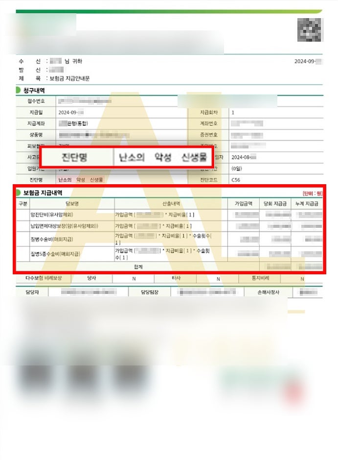 난소경계성종양 청구전략은 관련 사진