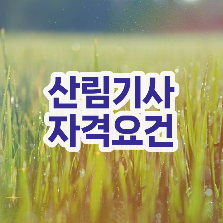  2024 산림기사 , 산림기사 응시자격 집에서 온라인으로 빠르게 준비한 전략