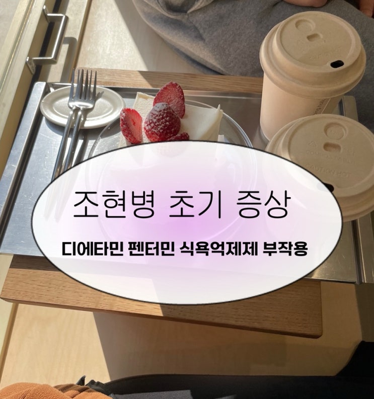  조현병초기증상 디에타민 펜터민 식욕억제제 부작용 후기