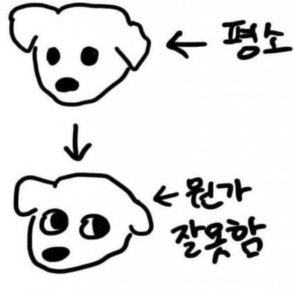 눈치 보는 강아지들 모음!ㅋㅋㅋ : 네이버 블로그