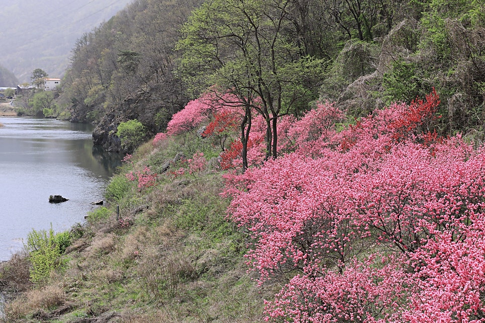 목사골 사진 5