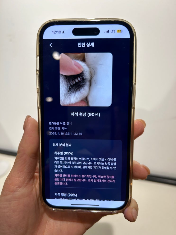  AI랑 연애도 하는데 이젠 강아지 치아진료도 되네? #스캔마이펫