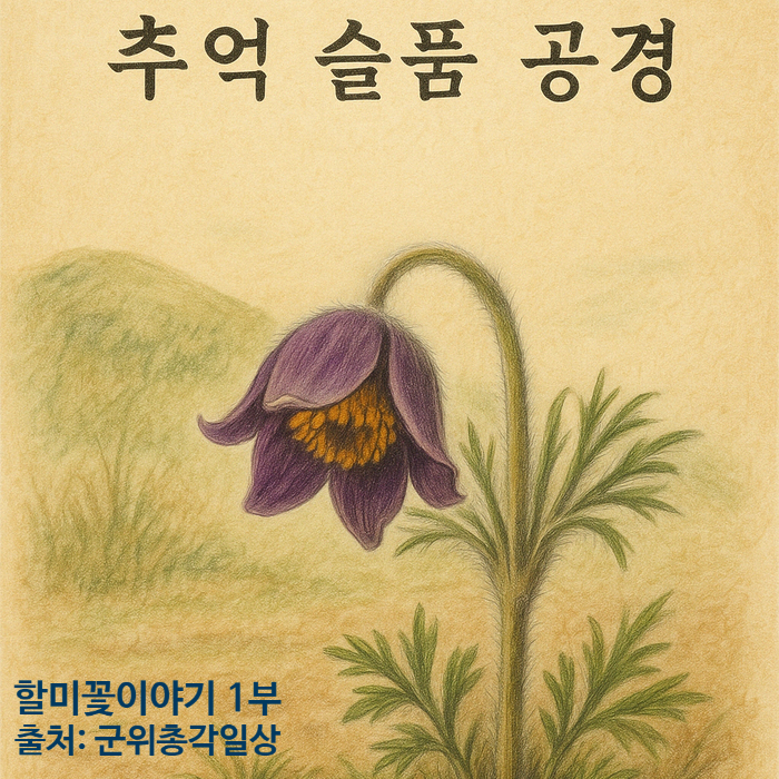  할미꽃 전설과 꽃말 – 추억과 슬픔을 담은 이야기 1부