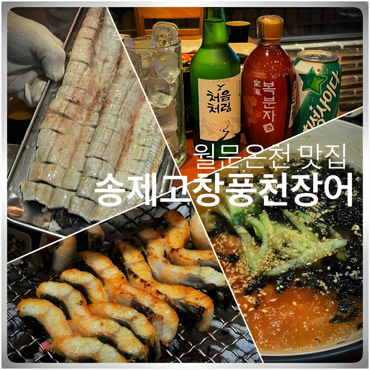  화성 송제고창풍천장어 - 월문온천 단지 근처 가성비 좋은 장어 맛집