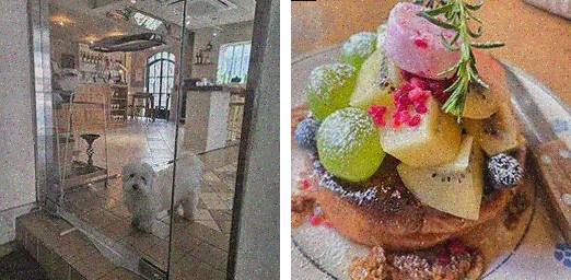  미미락락 광안리, 광안리 혼밥 맛집에서 즐기는 특별한 브런치