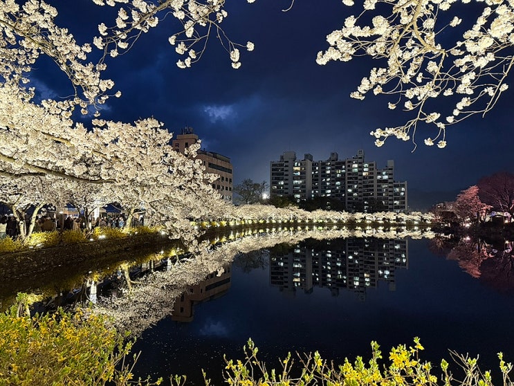 4/1~15 일상 모음 : 전북도립미술관 / 김천연화지 / 패밀리랜드 벚꽃 엔딩 4/1~15 일상 모음 : 전북도립미술관 / 김천연화지 / 패밀리랜드 벚꽃 엔딩