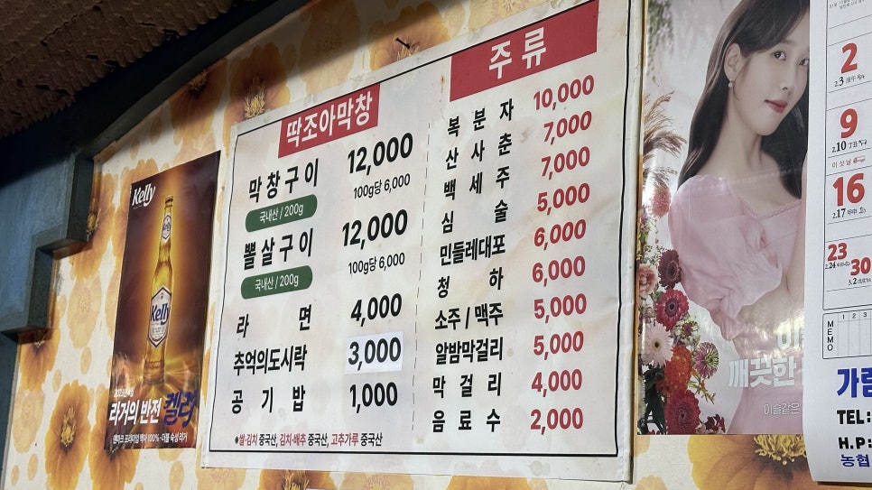 딱조아 사진 5