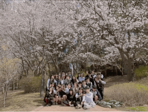  [학급 이벤트] 설레 가득 봄, 꽃놀이+학급 사진 남기기