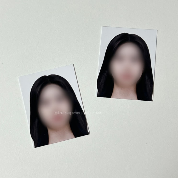  마곡 여권사진 스튜디오 소피아 후기 렌즈 흰옷 절대 안 됨