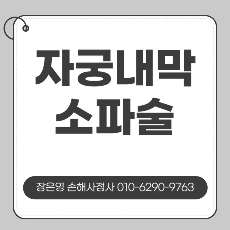 「자궁내막소파술」 수술비 보상받는 법 [손해사정]